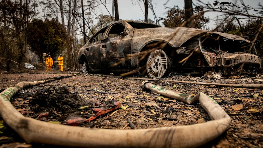 A burnt-out car in Bushland.