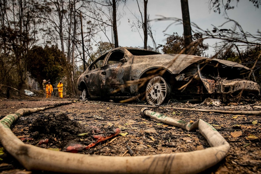 A burnt-out car in Bushland.