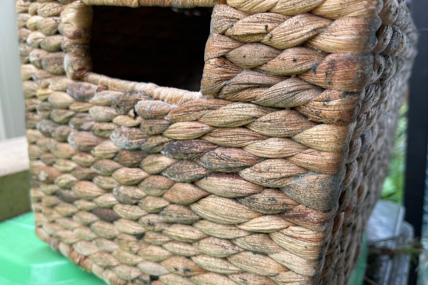 An image of a woven basket that has mould growing on it