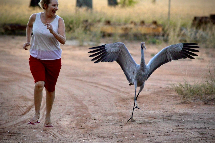 A woman with a happy expression runs down a dirt road with a brolga