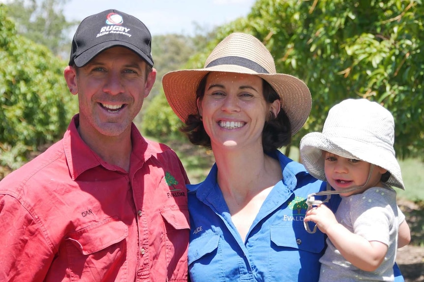 A man and woman holding a happy toddler smile at at the camera while standing in the middle of a mango orchard