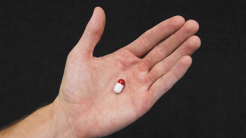 A photo of a heat-mapping pill being held in the palm of a hand.