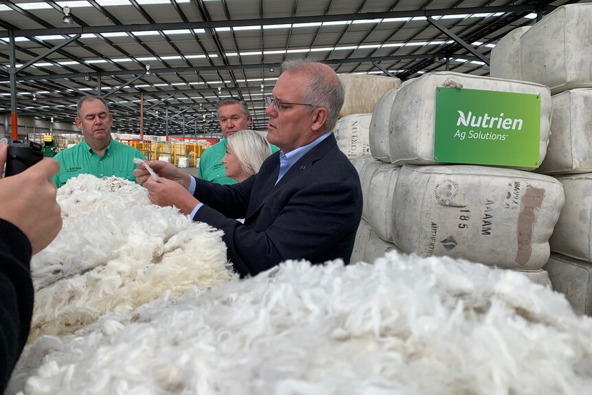 Morrison, wearing a suit, looks down upon a table full of wool, holding a piece afar to inspect it.
