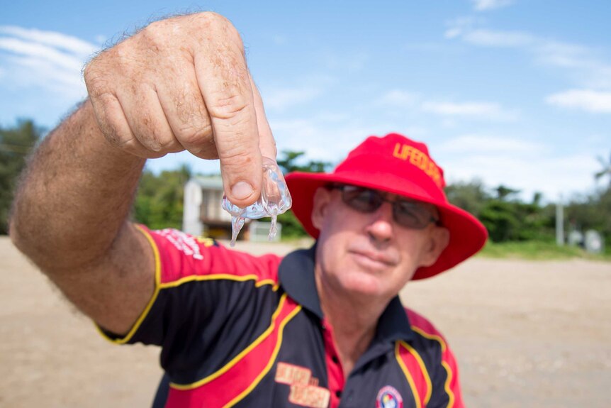 Jay March holds a juvenile box jellyfish by its body.