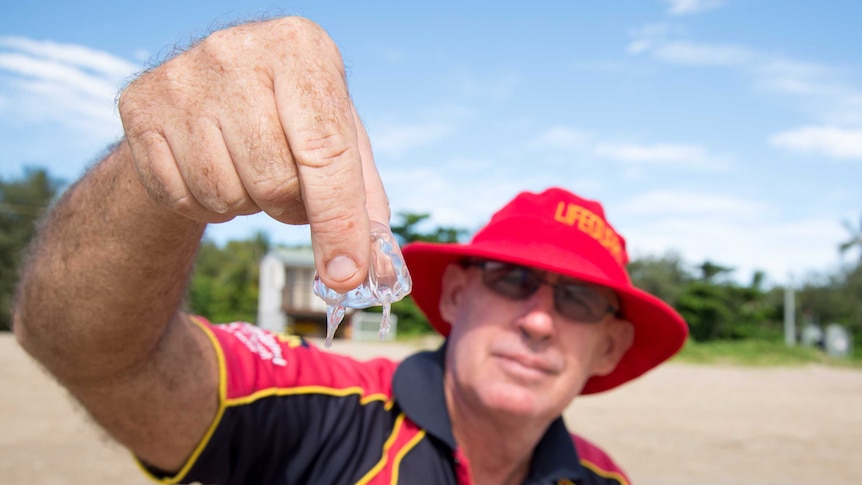 Jay March holds a juvenile box jellyfish by its body.