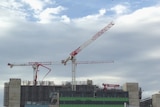 Cranes above the Royal Adelaide Hospital site