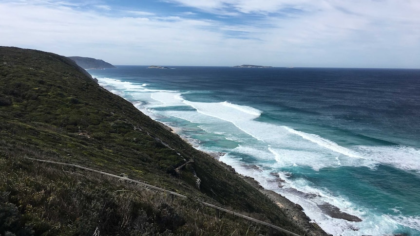 A shrub-covered hill leading down to the ocean with small waves rolling into the shore at Sand Patch.