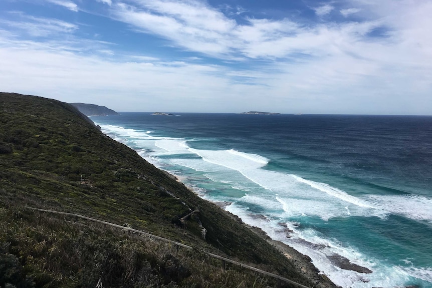 A shrub-covered hill leading down to the ocean with small waves rolling into the shore at Sand Patch.