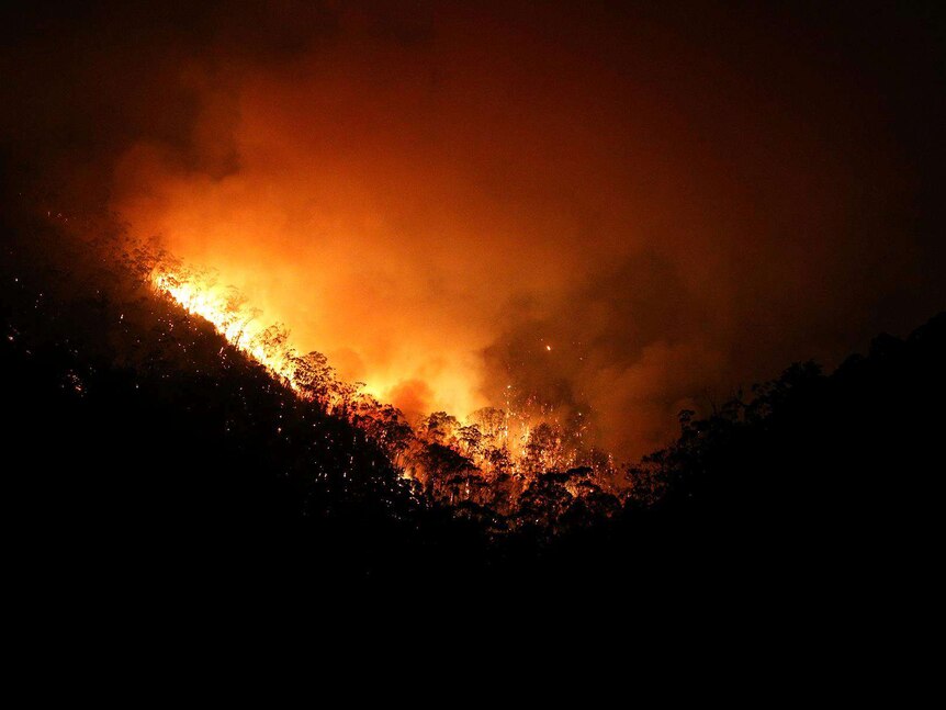 A bushfire lights up the night sky in the Adelaide hills, in the Cherryville area.