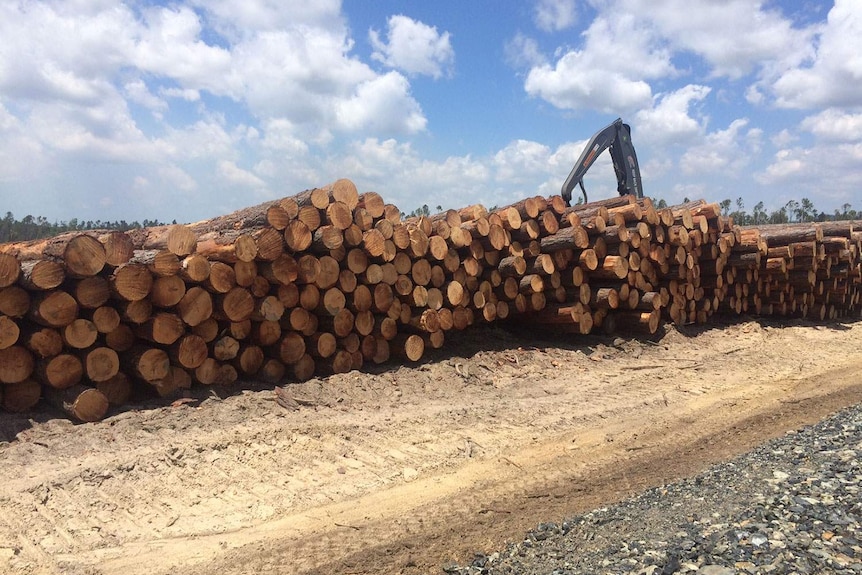 A destructive weather event had actually created jobs, Gladstone Ports CEO Craig Doyle said.