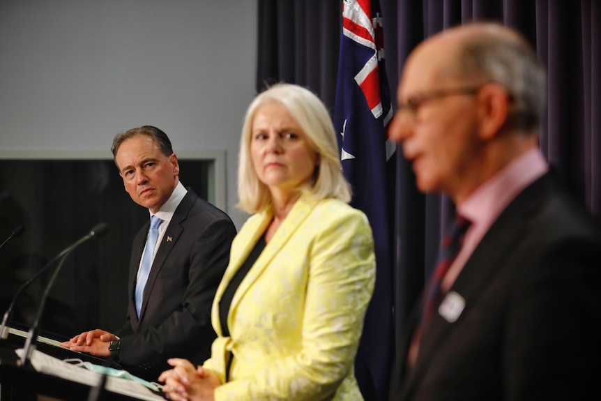 Greg Hunt and Karen Andrews look at Paul Kelly at a press conference at Parliament House