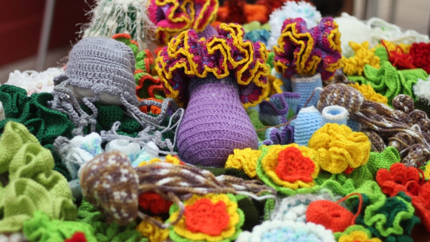Darwin's crochet enthusiasts turn yarn into coral