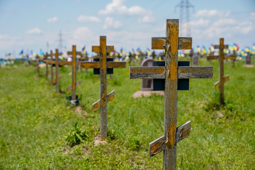 A long row of wooden crosses in a cemetary.