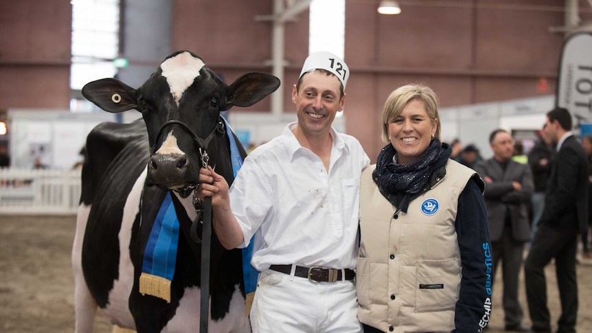 Dean and Di Malcolm with prize winning cow Bluechip Goldwyn Frosty