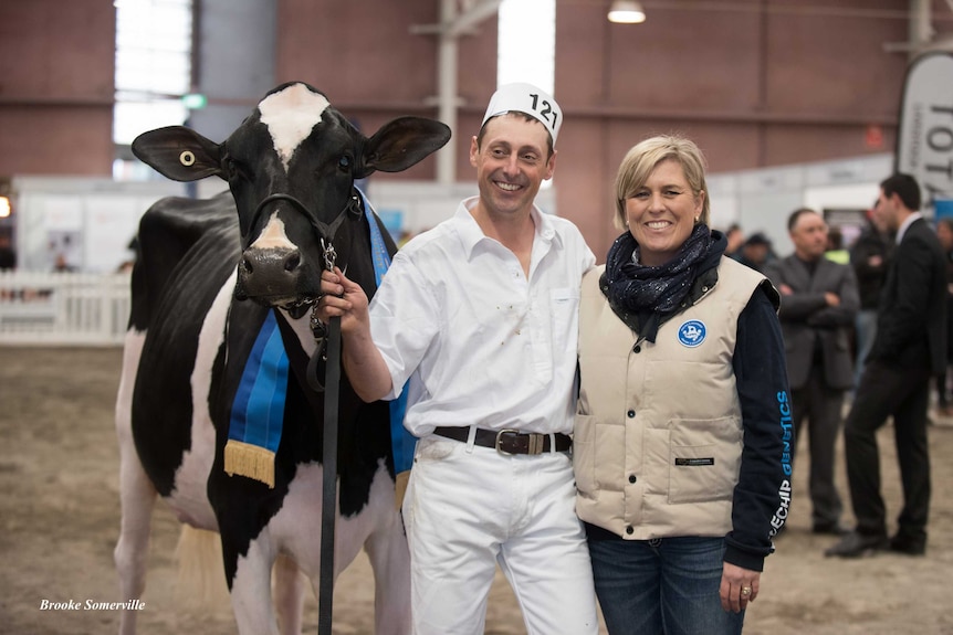 Dean and Di Malcolm with prize winning cow Bluechip Goldwyn Frosty