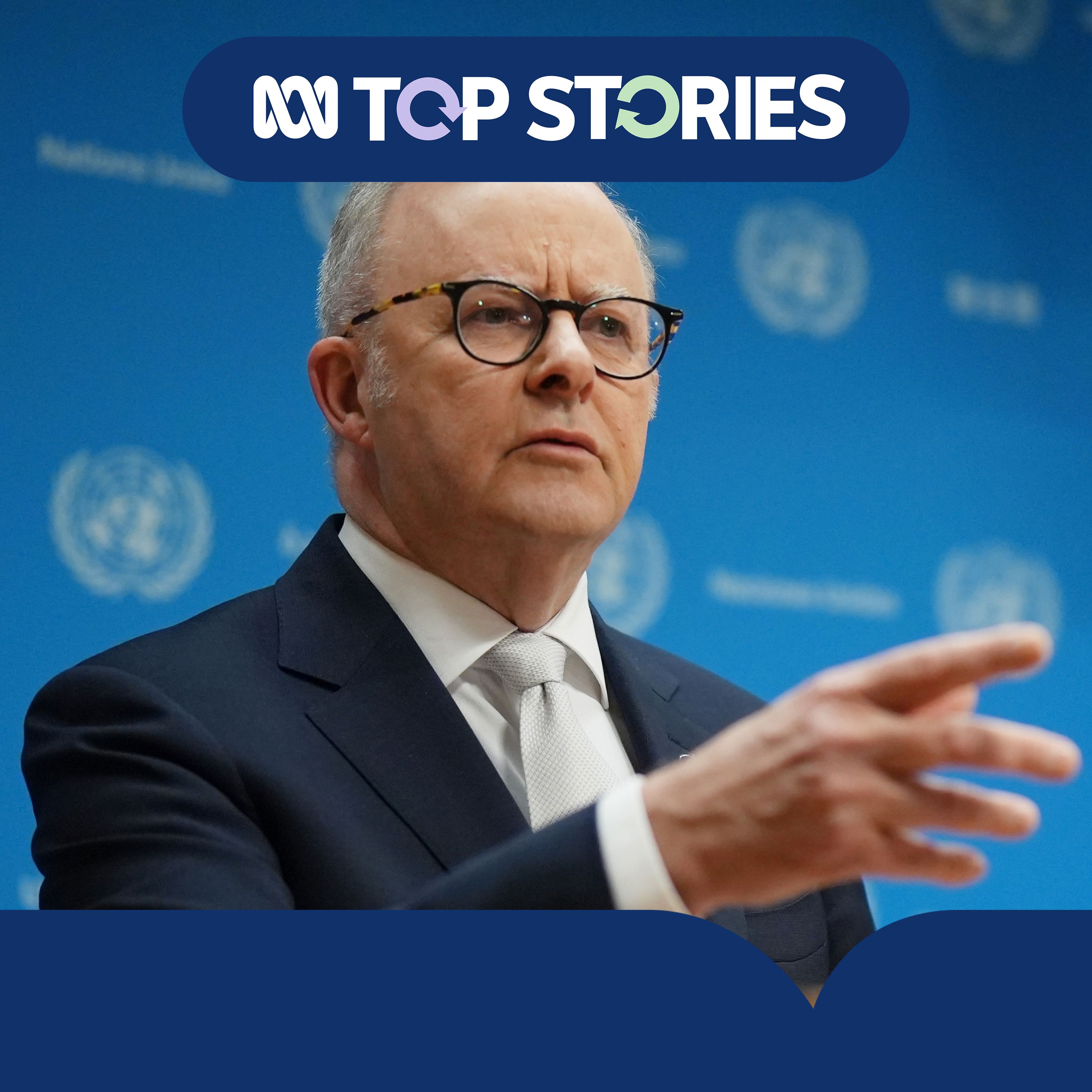 Why Albanese's so keen for a seat on the UN Security Council