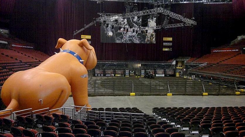 A giant inflatable bulldog overlooks the bull riding ring.