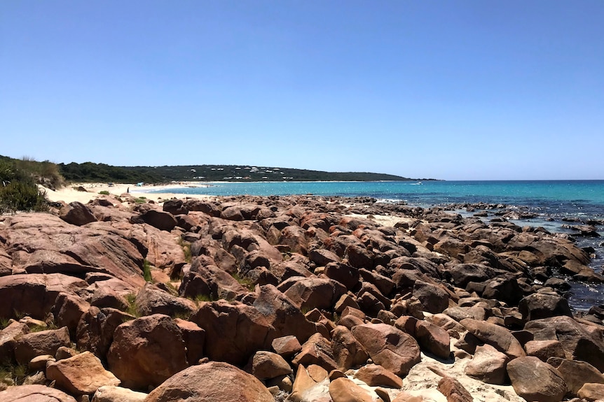 A rocky coastline with homes in the distance