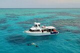 Snorkellers swim around a tour boat on the Great Barrier Reef off Townsville.