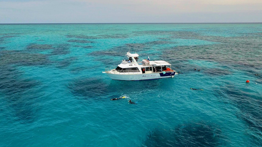 Snorkellers swim around a tour boat on the Great Barrier Reef off Townsville.
