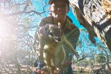 Nicola Palmer releases a numbat