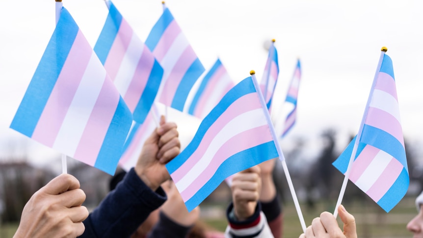 People holding transgender flags