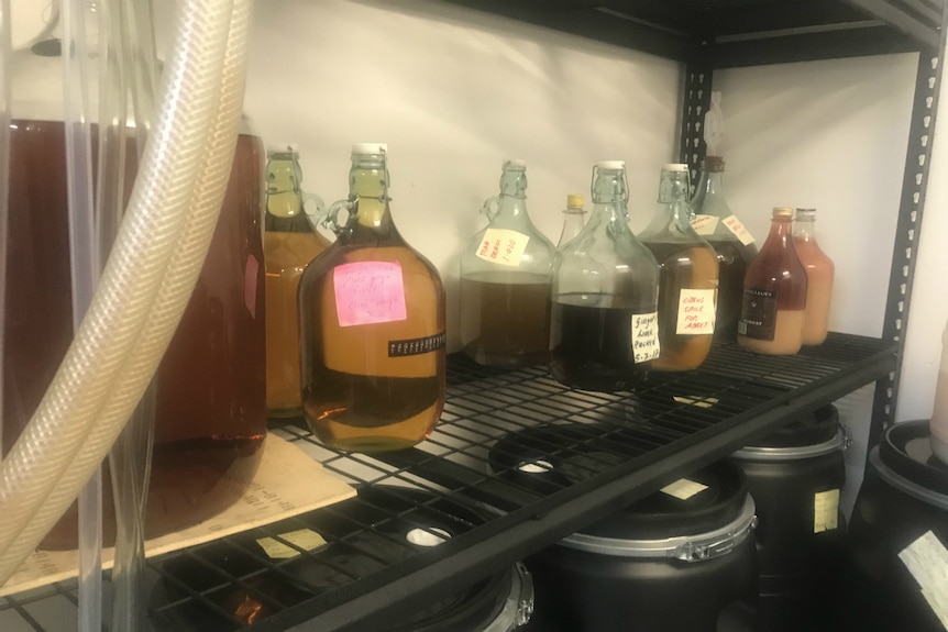 Bottles on racks in the fermenting room.