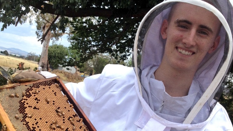 Beekeeper Mitchell Pearce