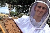 Beekeeper Mitchell Pearce