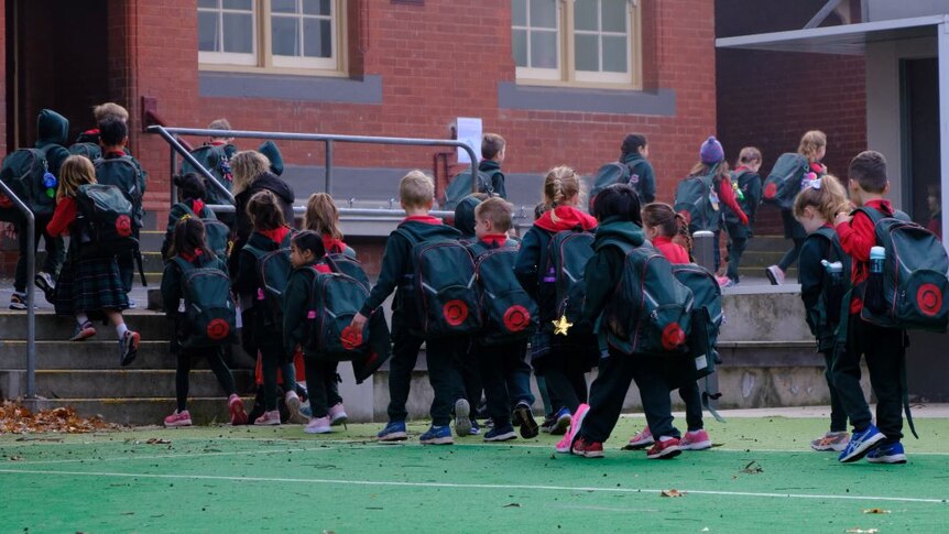 A class of primary school students with backpacks on walk into the brick school building.