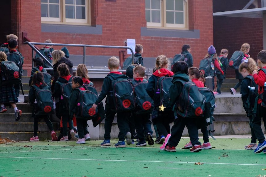 A class of primary school students with backpacks on walk into the brick school building.