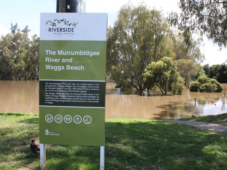 A sign in from of that reads Murrumbidgee River and Wagga Beach, with a flooed river and trees behind. 