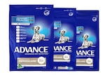 Three blue bags of Advance Dermocare dog food.