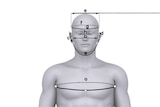 Body measurements could help identify criminals and missing persons