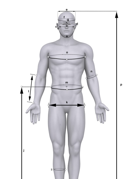 Body measurements could help identify criminals and missing persons