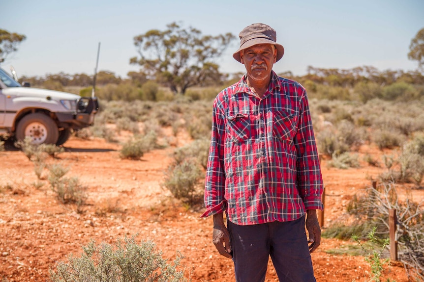 Wyvern Dimer on Credo Station north west of Kalgoorlie-Boulder.