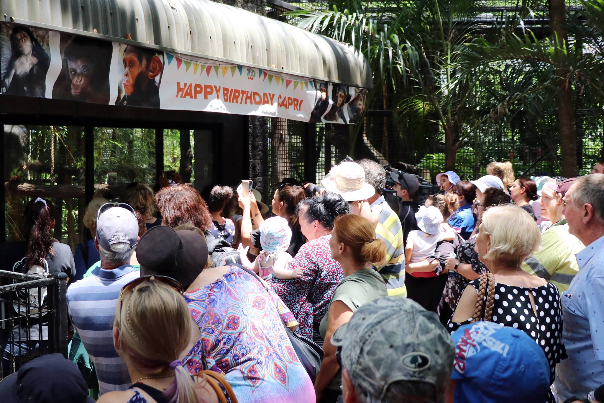 Crowd standing in front of animal enclosure, banner that says Happy Birthday Capri.