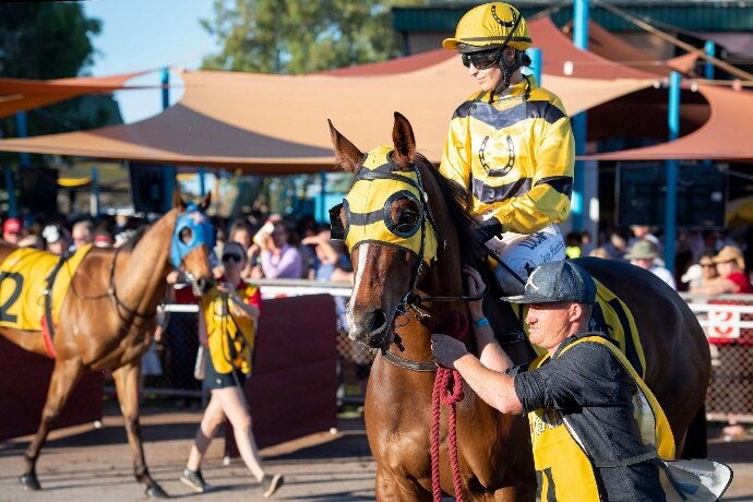 handler leads horse and jockey at horse races 
