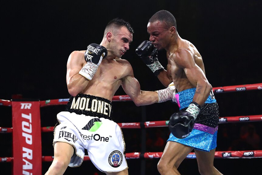 Andrew Moloney lands a left hook to the body of Norbelto Jimenez
