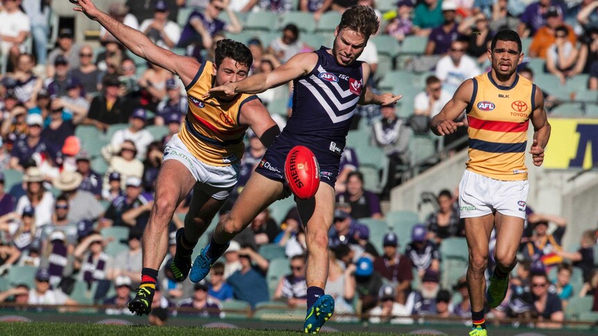 Ed Langdon of the Fremantle Dockers kicks the ball with two Adelaide Crows players in pursuit.