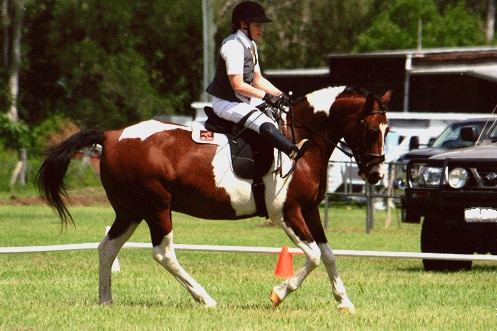 A woman riding a white and brown horse. 