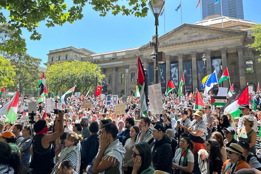 A crowd of people, many flying Palestinian flags and wearing kaffiyeh, on the lawns outside Melbourne’s State Library.