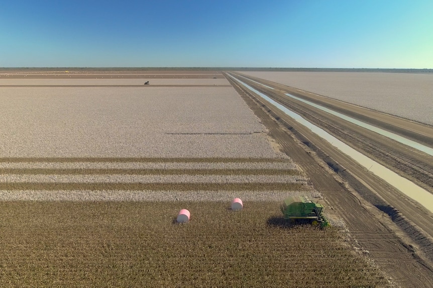 An aerial photo of a cotton picker working on Cubbie Station in April 2021.