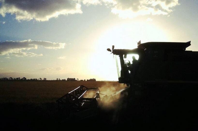 A harvester at work in a field.
