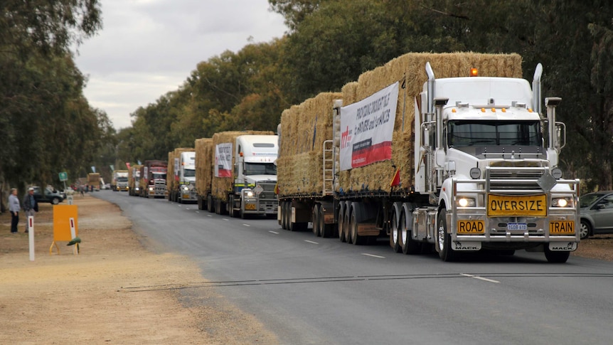 23 road trains arrive in Condobolin with over 2,000 hay bales