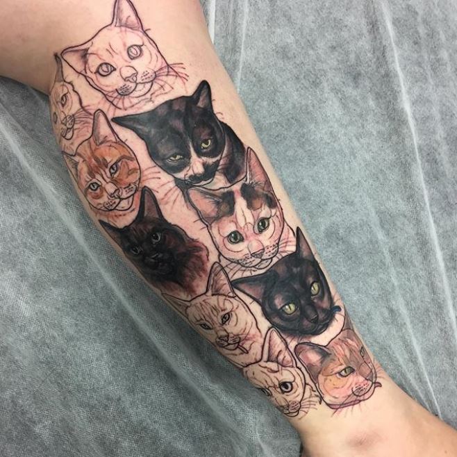 Cat Tattooist Jessica Holmes Capitalises On A Growing Market For Moggies In Ink Abc News