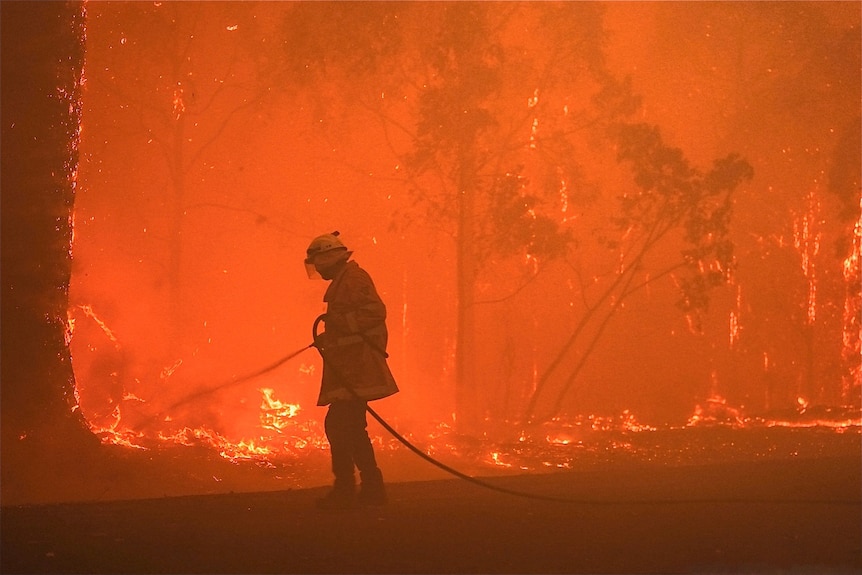 A firefighter with a fire hose confronts a wall of flames in a bushfire.