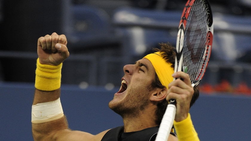 Del Potro is through to his second grand slam semi-final for 2009, after battling Federer in France.