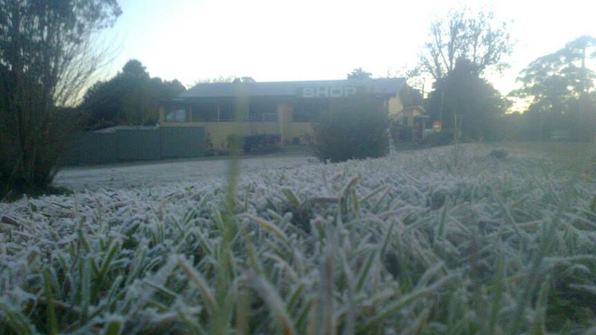 Frost at a property on Lower Springbrook on Qld's Gold Coast on August 22, 2013.