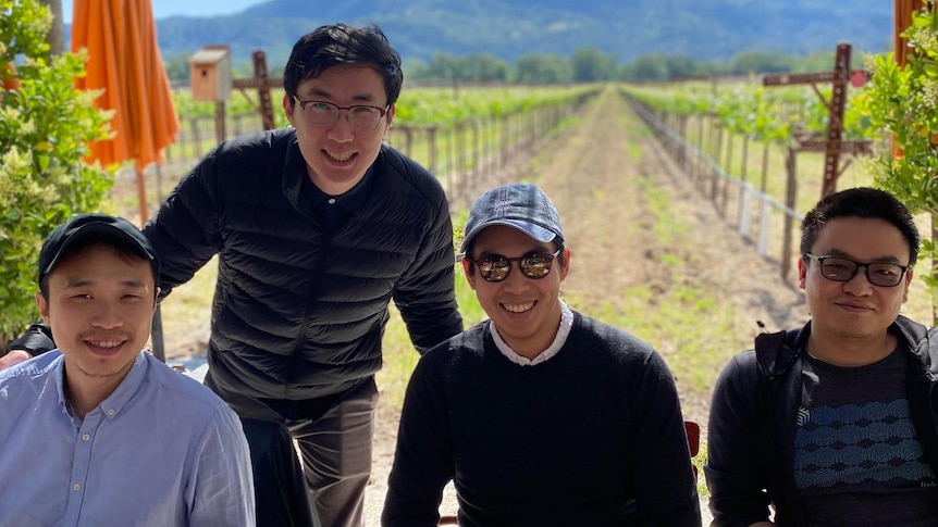 Four men sitting in front of a vineyard. 